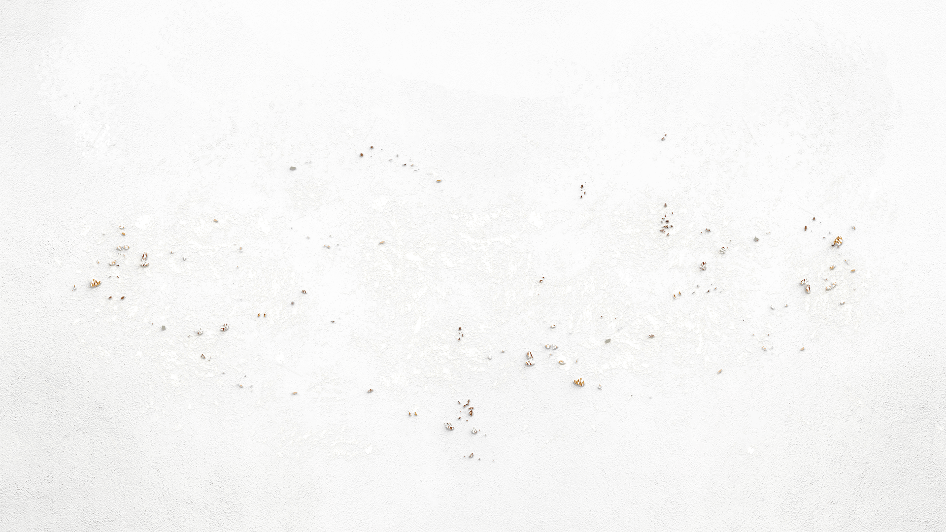 bg-02