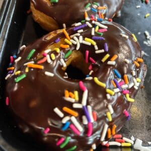 Chocolate iced ring w/sprinkles